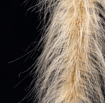 ScientificFly PREMIUM GHOST BRUSH